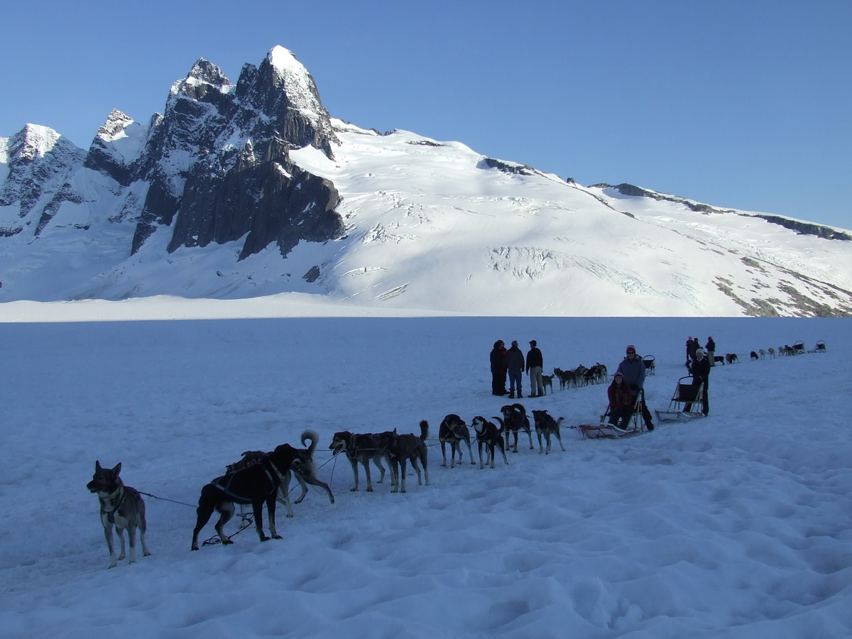 Helicopter/Dog Sledding with Supplemental Charge Included