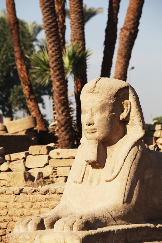 Private Tour of Luxor from Alexandria