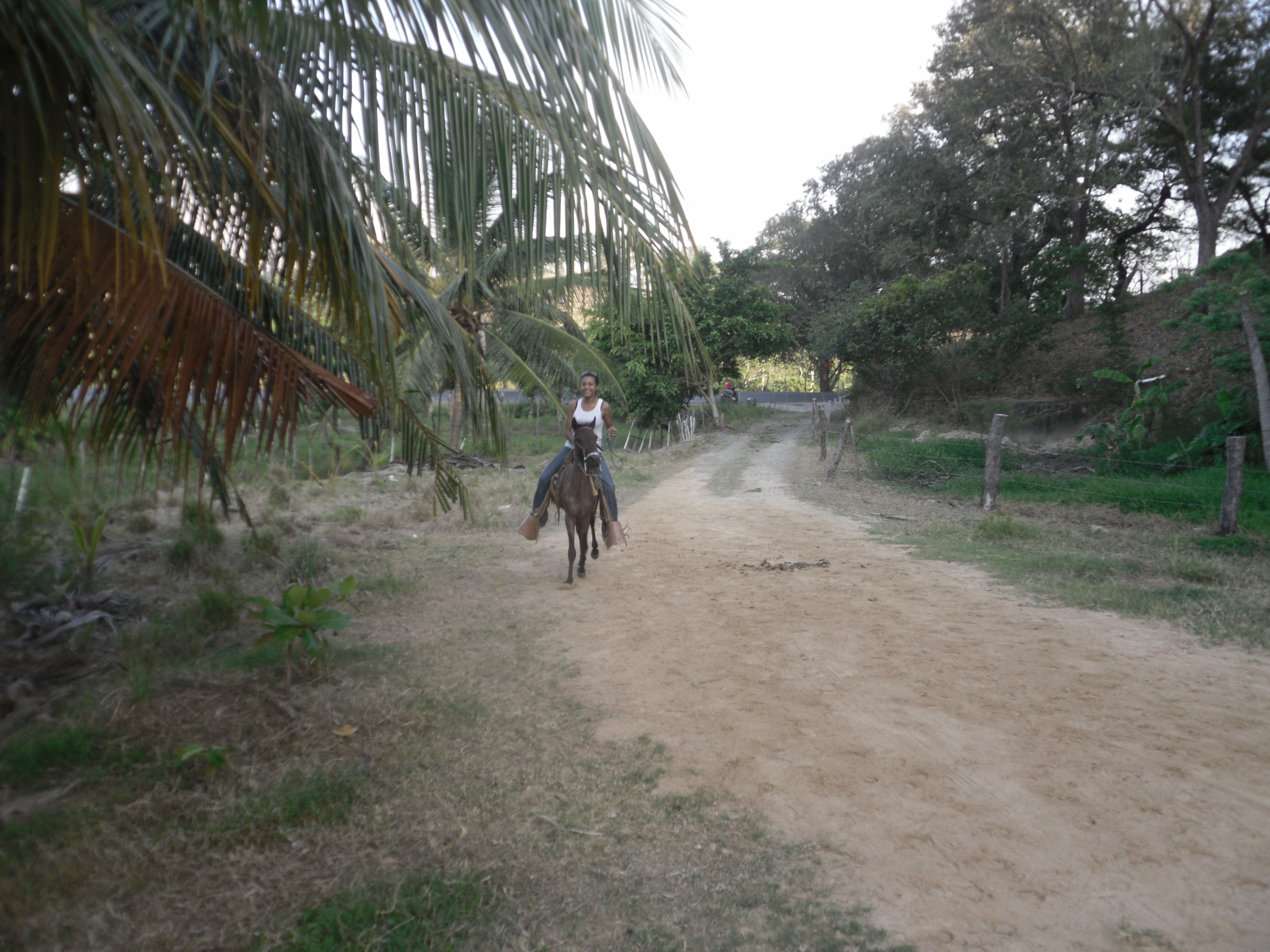 Roatan Horseback Riding and Beach Break