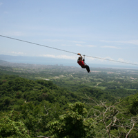 Canopy Tour