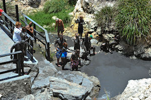 Island Highlights and Mud Baths