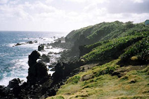 Caribbean Plantation, Eco-Gardens and Scenic Island Drive