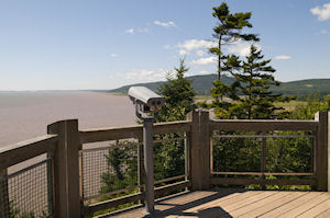 Bay of Fundy Tour in a small group