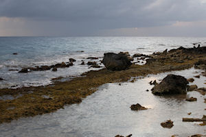 Bonaire Cave Snorkel