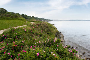 Cliff Walk Tour