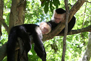 Eco-Adventure Puntarenas