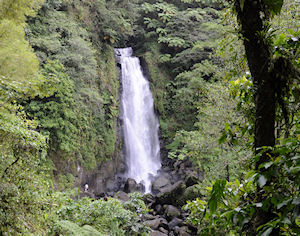 Dominica's  Jewels 