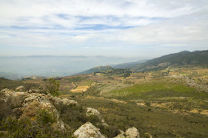 Discover the Golan Heights & Wine Tasting