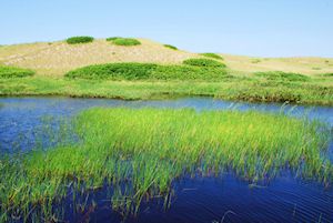 Moonshine & Prince Edward Island Tour