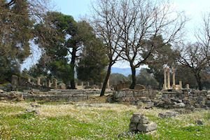 x Guided Tour of Ancient Olympia Archaeological Site and Museum ( NT)