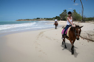 Horseback Riding, Rainforest & Hacienda
