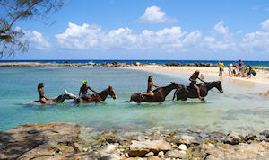 Montego Bay - Braco Estate Horseback