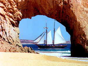 Sailing the Sunderland - Whale Watching ( Dec-April )