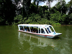 Wildlife Expedition & Crocodile Encounter by Boat