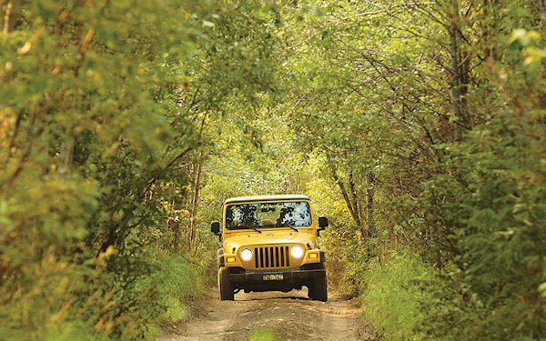 Denali self-drive jeep tour