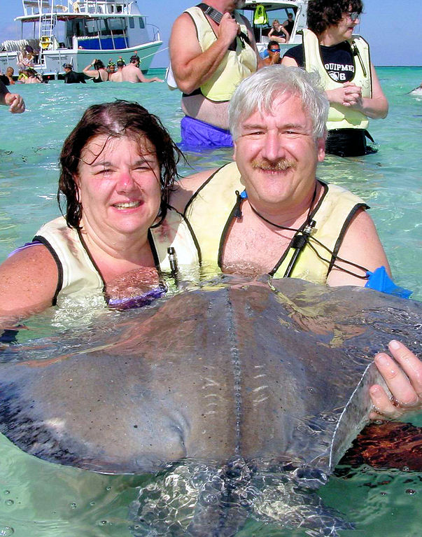 Grand Cayman Stingray City Snorkeling