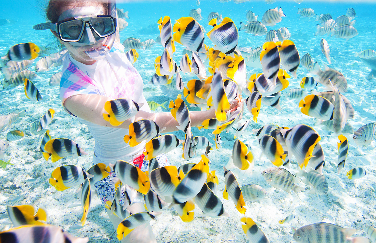 Rhino Sprayed Excursion Rhino Tours St Maarten : Rhino Safari Excursions – DKMLD